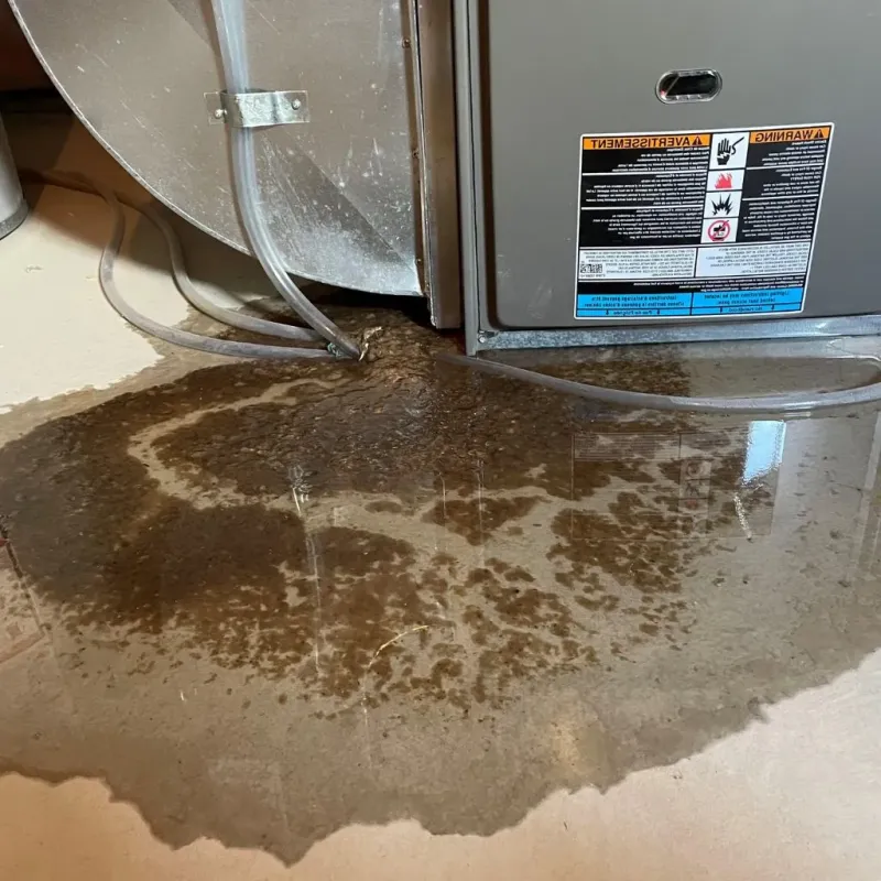 Pipe Burst and Leak Restoration in Gouldsboro, ME